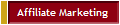  Affiliate Marketing